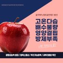 풍년농약사 | 앤바이오 최우수 공식판매점, &#39;광주 송정 새마을농약사&#39; 모종, 종자, 농약, 비료, 농자재일체 식물약국!