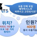 버블캣츠 이미지