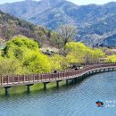 월광수변공원 이미지