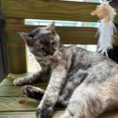 별이랑 놀자 이미지