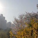 무성 태권도장 이미지