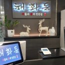 해화동