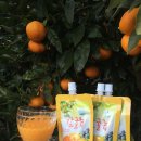 주생농장 이미지