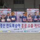 천도국제 이미지