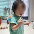 닛시바이오 이미지