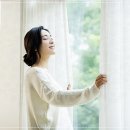 디자인밸런스