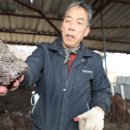 상금농장 이미지