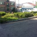 평화동-04 이미지