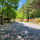 별드림캠핑장 이미지