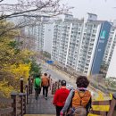 2차 응봉산-서울숲길 걷기-태강님 작품입니다 이미지
