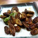 회생각포차