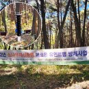 검암산(중간) 네이버블로그