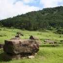 황토현농장 이미지