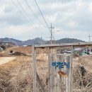 [횡성 카페 후기] 이가본때 - 화덕카스테라+시골빵+소금빵+오미자에이드 솔직후기