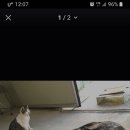 산외 강현낚시터 이미지