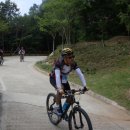 냉산공원 이미지