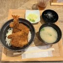 하늘소리기독서점 | 휴먼메이드 시부야, 니이가타 카츠동, 차테이 하토우, 진보초 책거리, 키타자와 서점, 토리타케 총본점