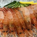 웰빙횟집 이미지