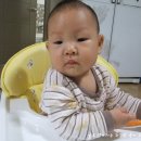 해솔중기 이미지