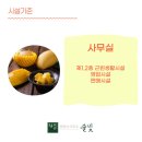 건축사무소솔빛