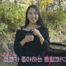 달구지닷컴