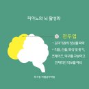 하늘채음악학원 네이버블로그