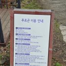 푸르곤 애월 넓은 애견운동장이 있는 애견동반카페 '<b>푸르곤</b>' 추천