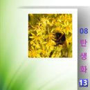 골든13 이미지
