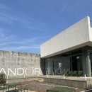 (주)소프트에이드 | 제주 구좌읍 송당무끈모루 포토존이 있는 대형 베이커리 카페 “안도르“