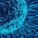 질병퇴치연구원 이미지