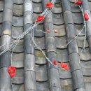 첨단미르치과병원 이미지