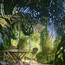 식물원옆카페 이미지