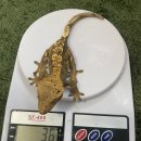 뱀뱀렙타일 - 노원구 한글비석로 444 | 뱀뱀렙타일