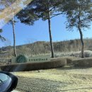 이븐데일 CC(대중제) | 충주 이븐데일CC 라운딩 후기｜코스 난이도, 페어웨이, 그린 컨디션