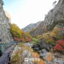 주왕산맛집펜션 이미지