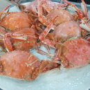 무조건회수산 이미지