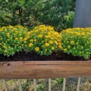 성주군대가면보건지소 이미지