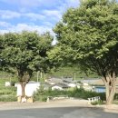 시곡3리 마을회관 이미지