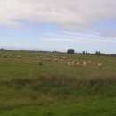 대평원목장 이미지