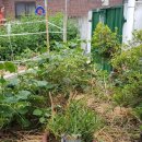 신기리마을회관 이미지