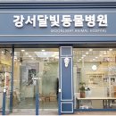 달빛동물병원 이미지