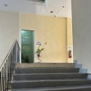 미미픽네일 | [세부 막탄 엔칸토 한달살이] - 미미네일(miminail) 키즈네일 후기