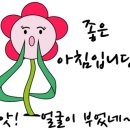 오성헬스케어 이미지