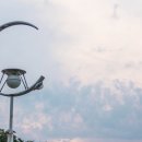 화산켄넬 이미지