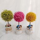 온유한 요양원 이미지