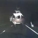 브레멘 음악대 이미지