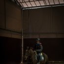 승마클럽 영풍 이미지