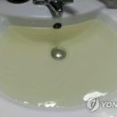 다다하다대구 이미지