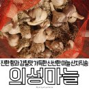 의성토종구운마늘환 | 산지 직송 풍미 가득한 의성마늘 구매 후기 : 깐마늘 보관법, 마늘효능