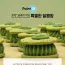 곤디 이미지